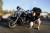 Ca y est, Cl&eacute;ment a trouv&eacute; la prochaine moto de son papa !